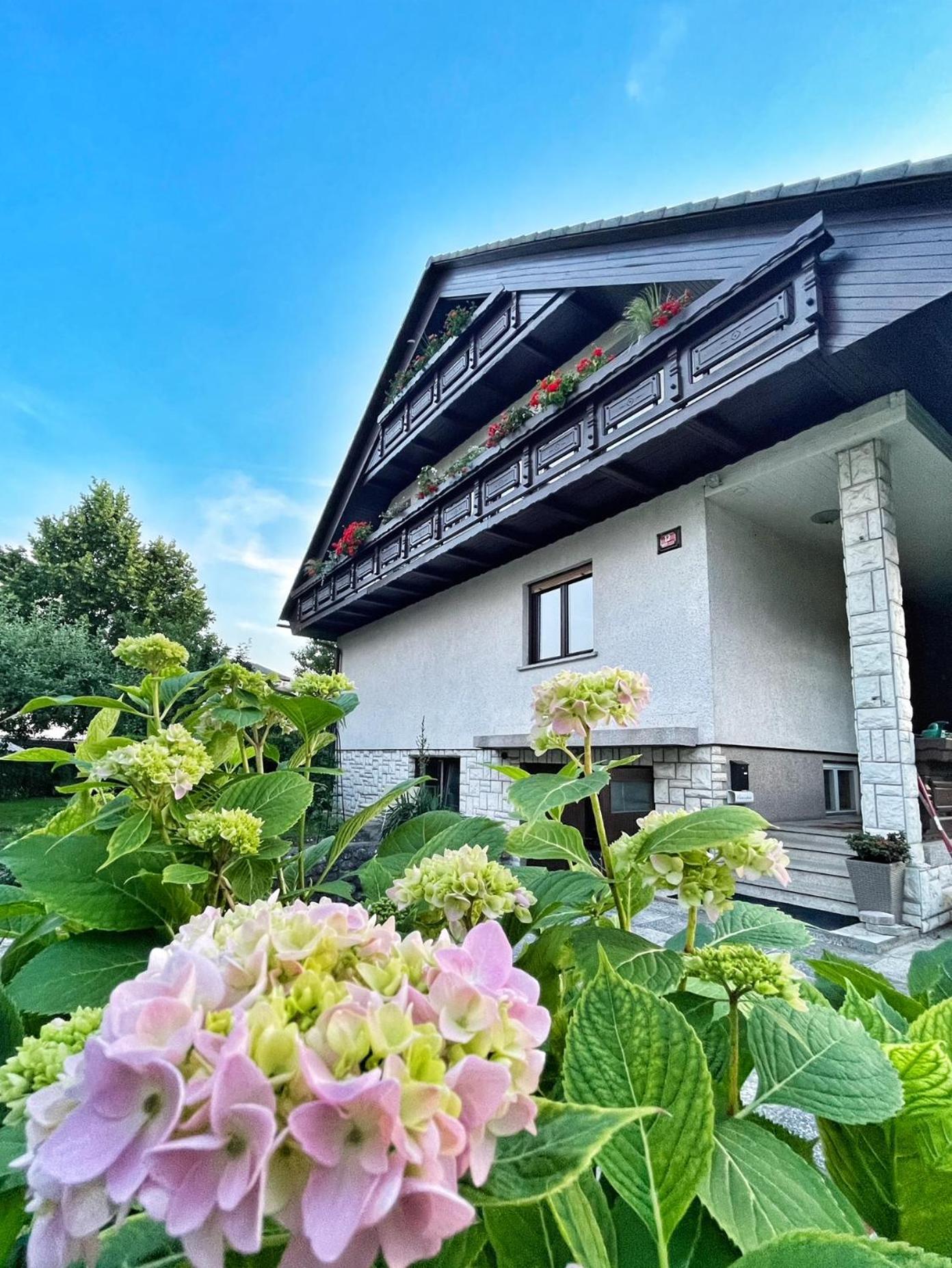 Papas Apartment Lesce  Dış mekan fotoğraf